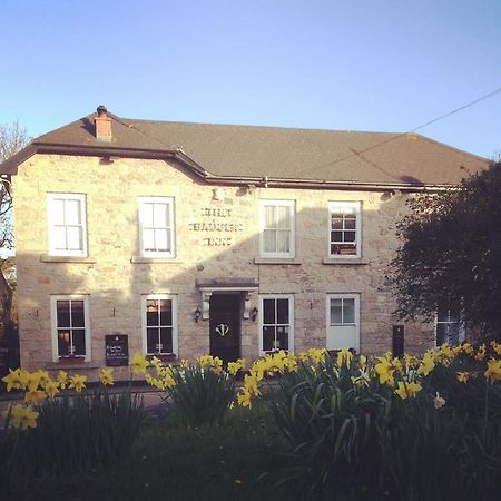 The Badger Inn Carbis Bay Buitenkant foto