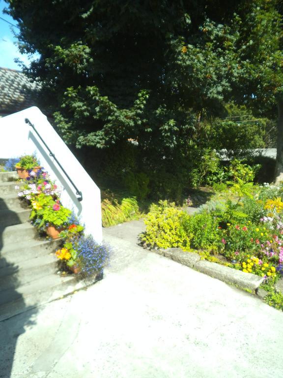The Badger Inn Carbis Bay Buitenkant foto