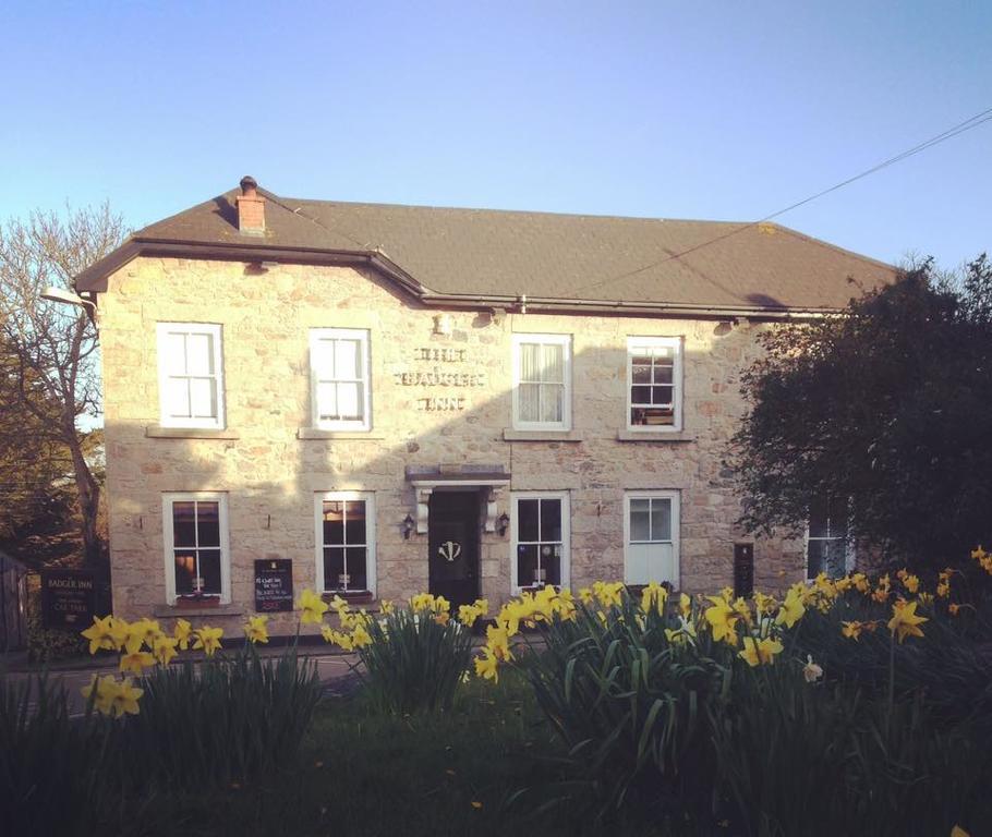 The Badger Inn Carbis Bay Buitenkant foto