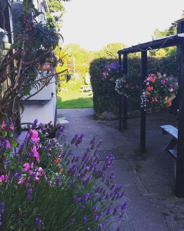 The Badger Inn Carbis Bay Buitenkant foto